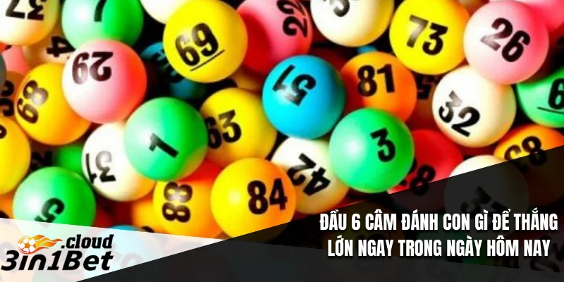 Đầu 6 Câm Đánh Con Gì Để Thắng Lớn Ngay Trong Ngày Hôm Nay 10 đầu 6 câm đánh con gì